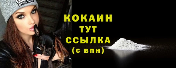 2c-b Касимов
