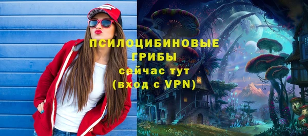 мдма Приозерск