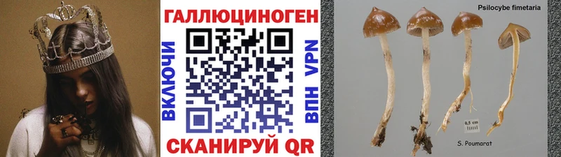 где найти Макарьев Галлюциногенные грибы мухоморы